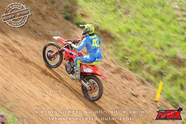 DSC_7815 (Copy).jpg